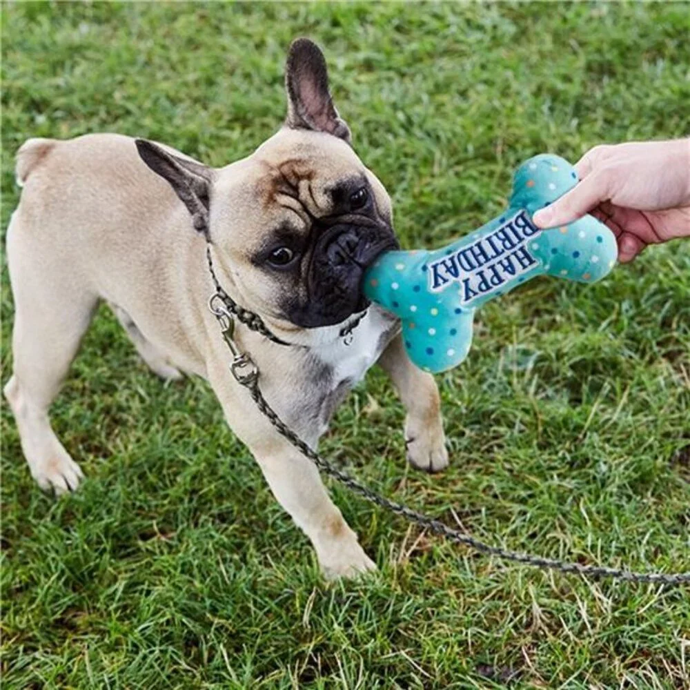 Dog Birthday Toys, Plush Dog Crinkle Squeaky Toys, Dog Chew Toys Bone - Picture 3 of 5